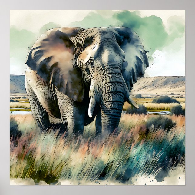 Poster Belo Elefante De Aquarela (Frente)