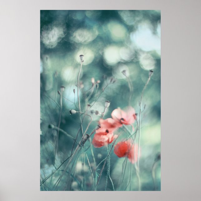 Poster Belo Elegante Abstrato Dreamy Poppies Flores (Frente)