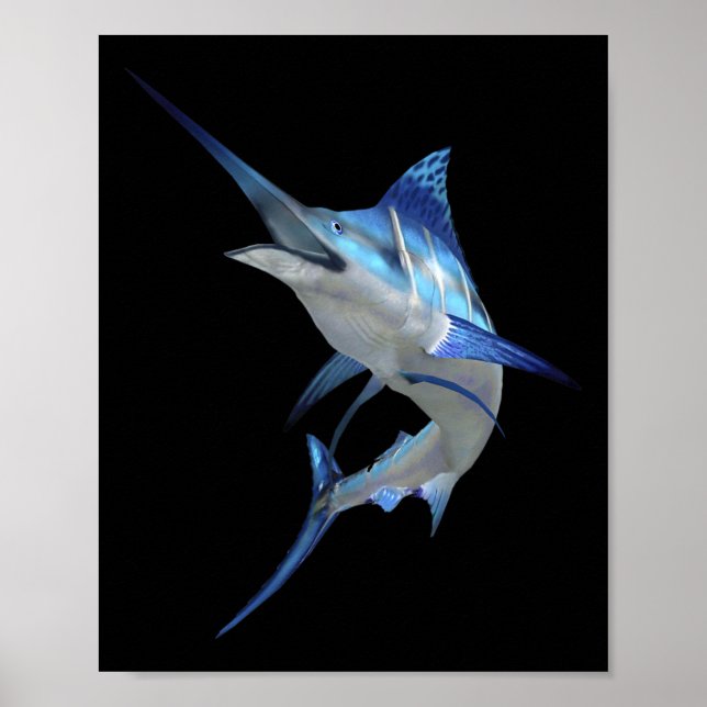Poster Belo espadim azul de pesca com palha curta (Frente)