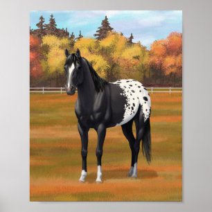 Poster Belo Estalhão do Cavalo do Quarto de Appaloosa Pr