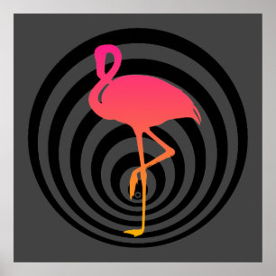 Poster Belo flamingo em círculos