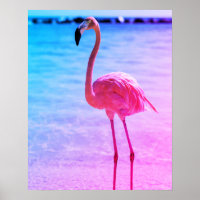 Belo Flamingo na Água em uma Praia