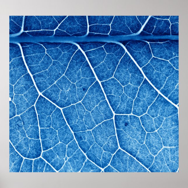 Poster Belo fundo de textura de encerramento da planta (Frente)