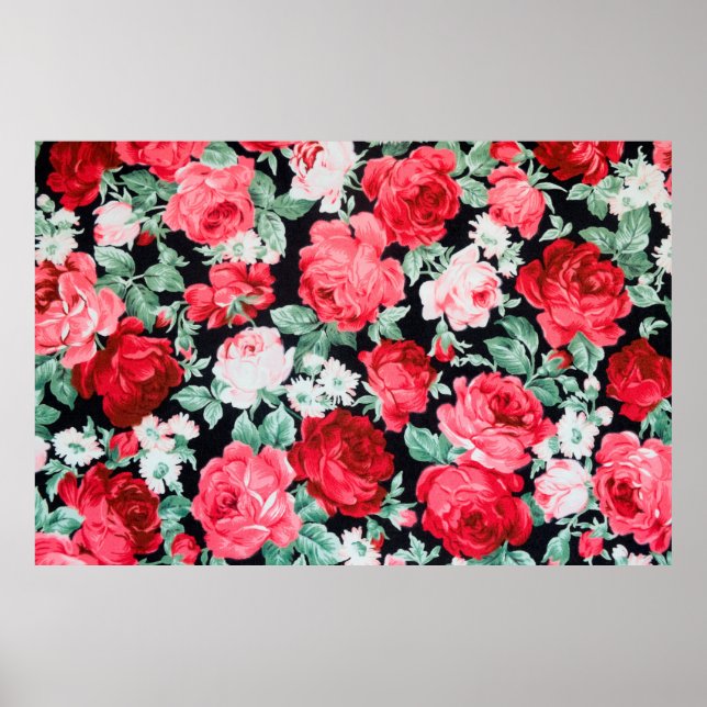Poster Belo jardim de rosas vermelhas (Frente)