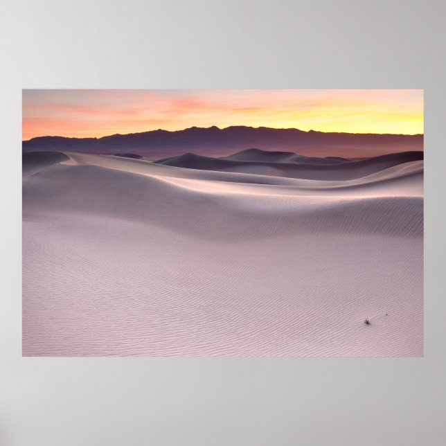 Póster Belo nascer do sol sobre dunas do deserto (Frente)