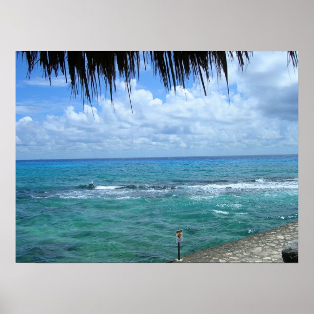 Póster Belo Oceanview (Frente)