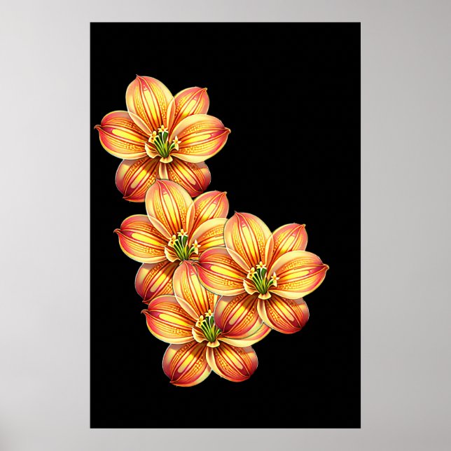 Poster Belo Ouro Lily (Frente)