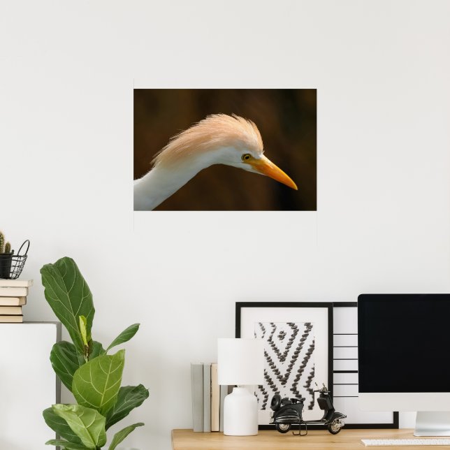 Poster Belo pássaro garça-vaqueira (Escritório em casa)