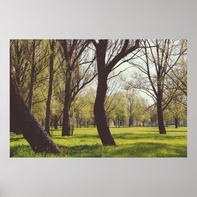 Poster Belo Prado (Frente)