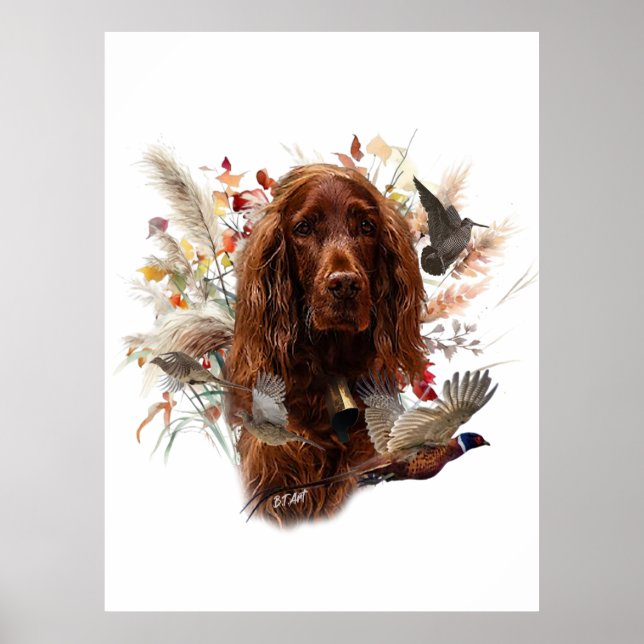 Poster Belo Red Setter Irlandês (Frente)