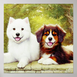 Poster Belo Samoyed & Inglês Shepherd Pups