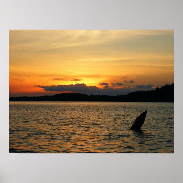 Póster Belo Sol (Frente)