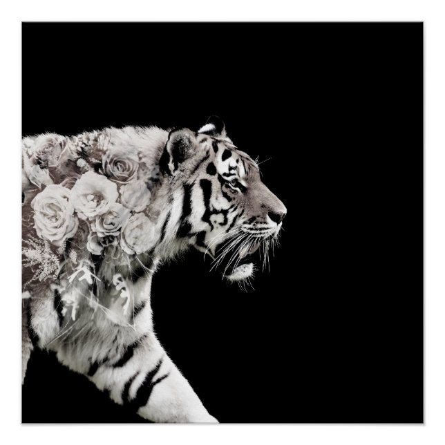 Póster Belo Tiger Rosas Foto de Exposição Dupla (Frente)