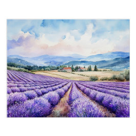Póster Belos campos de lavanda Cartaz brilhante