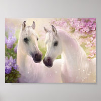 Belos Cavalos