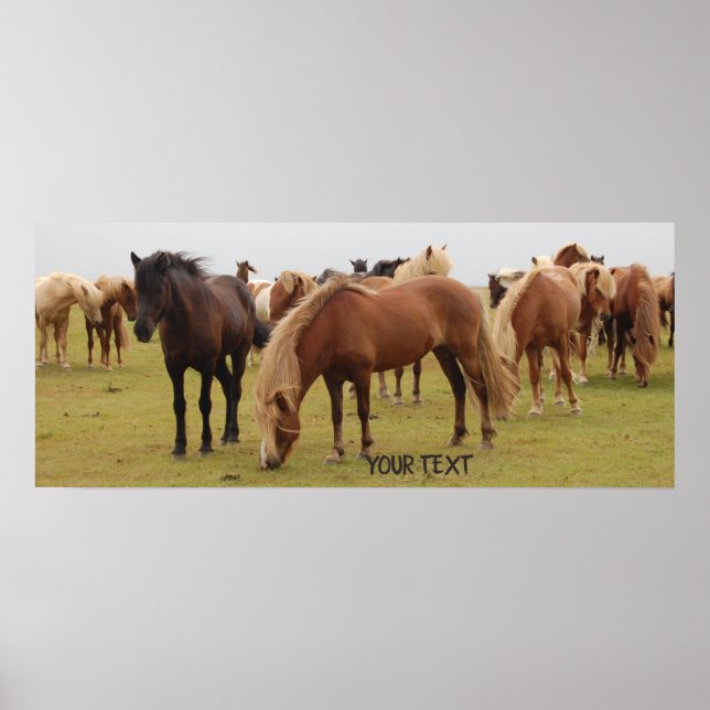 Poster Belos cavalos castanhos (Frente)
