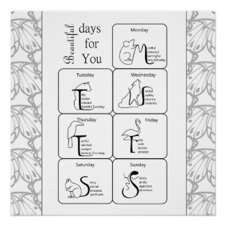 Póster Belos dias para você na sua semana de mel