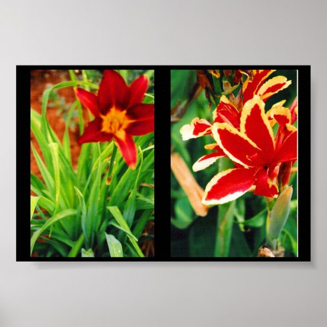 Poster Belos Flores (Frente)