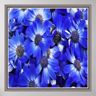 Poster Belos Flores Azuis