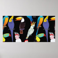 Belos pássaros exóticos tropicais.