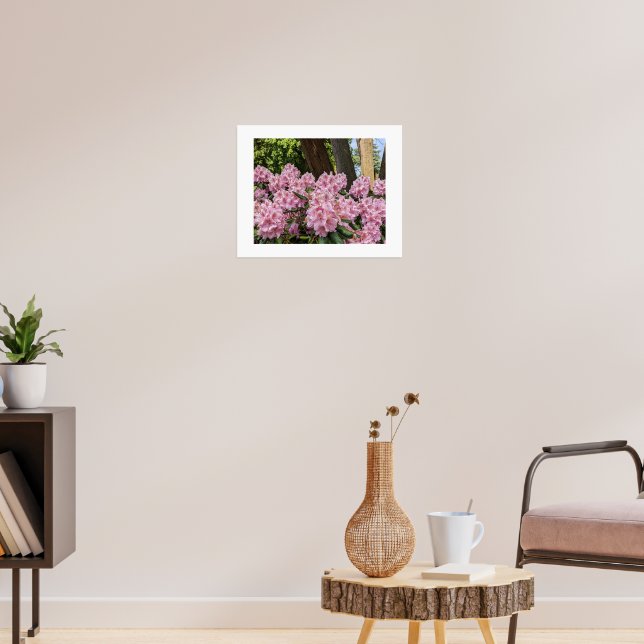 Poster Belos Rhododendrons Rosa Florais (Sala de Estar 3)