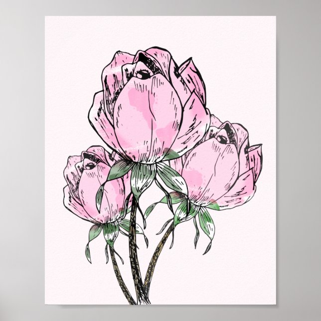Poster Belos Rosas de Mão Rosa Desenhados (Frente)