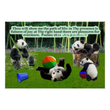 Belos Salmos de Escritura de Panda 16:11: Glossy
