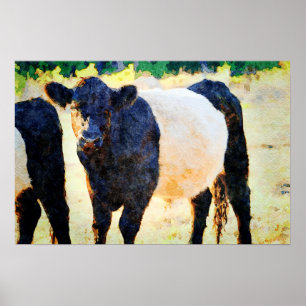 Poster Beltie Cow Watercolor Pintura Bela Arte Galloway