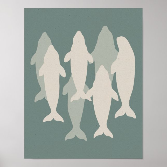 Poster Beluga Pod Ilustrado (Frente)
