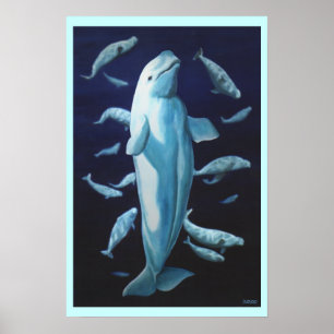 Póster Beluga Whale Art Print Marinelife Whale Painting