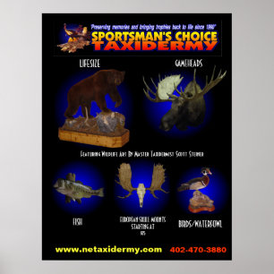 POSTER BEM ESCOLHIDO DA TAXIDERMIA DO DESPORTISTA