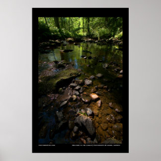 Póster Bem-vindo à selva