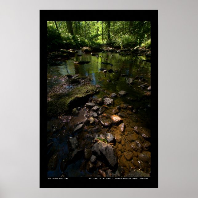 Póster Bem-vindo à selva (Frente)