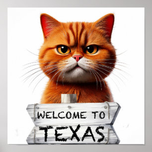 Poster Bem-vindo ao Texas