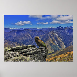 Poster Ben Lomond Kea