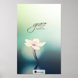 Poster Benevolência