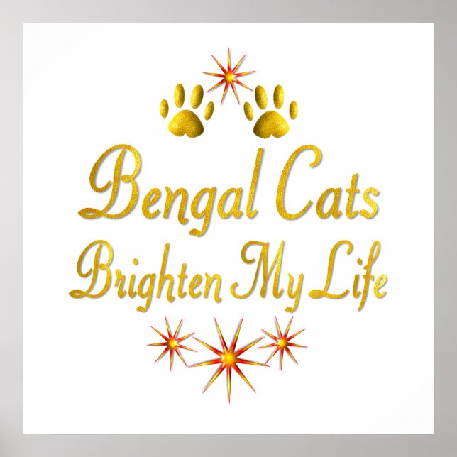 Póster Bengala Cats Brighes My Life (Frente)