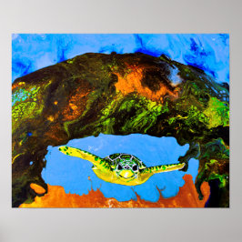 Poster Benny The Turtle