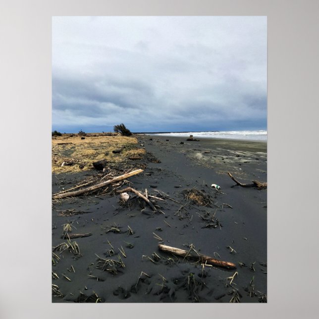 Poster Benson Beach, Cape Desapontamento, WA (Frente)