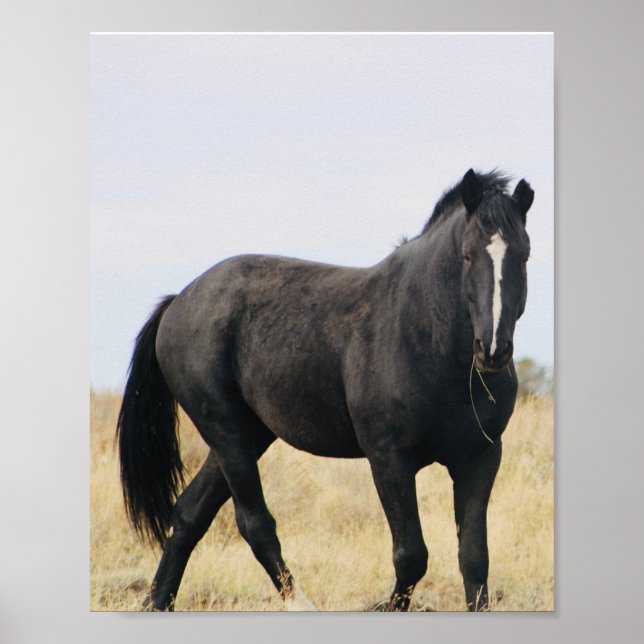 Poster Bentley (Frente)