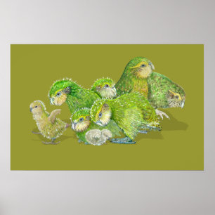 Póster Berçário do pintinho do Kakapo
