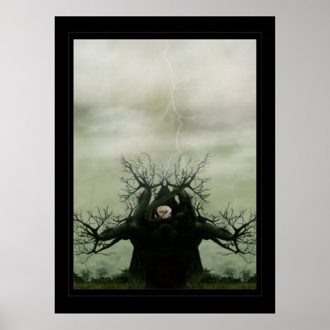 Póster Berço da Vida (Frente)