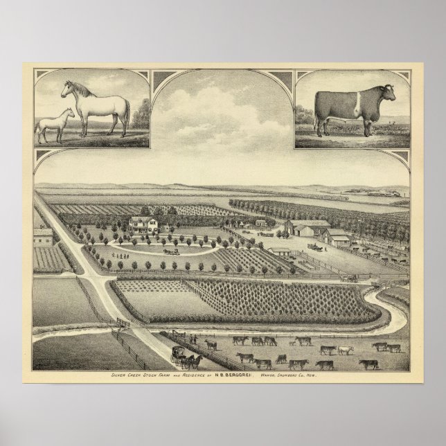 Póster Berggren Fazenda, Nebraska (Frente)