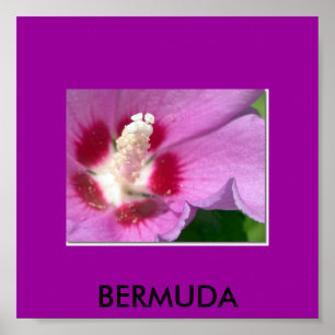 PÓSTER BERMUDA