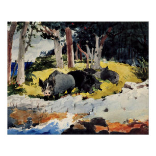 Póster Bermudas Settlers, uma pintura de Winslow Homer,