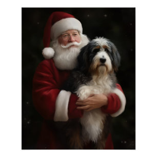 Póster Bernedoodle com o Papai Noel Natal Festivo 