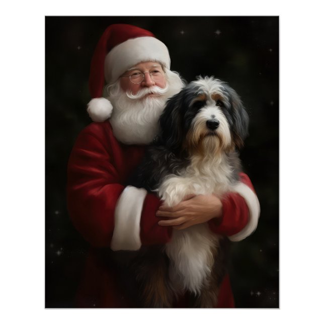 Póster Bernedoodle com o Papai Noel Natal Festivo  (Frente)