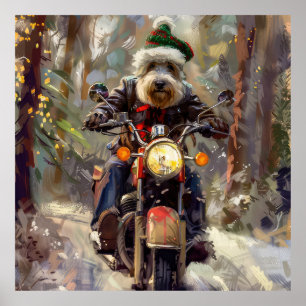 Poster Bernedoodle Dog Andando na Motocicleta Natal