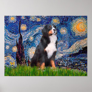 Póster Bernês - Starry Night
