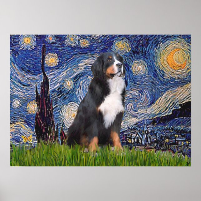 Póster Bernês - Starry Night (Frente)
